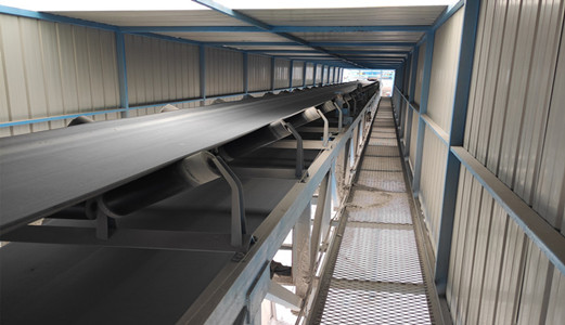 小白養(yǎng)成記！調(diào)速皮帶秤和恒速皮帶秤的區(qū)別有哪些