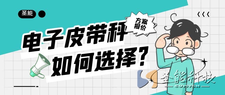 圣能科技<a href='http://m.m1301.cn/' target='_blank'><u>皮帶秤</u></a>