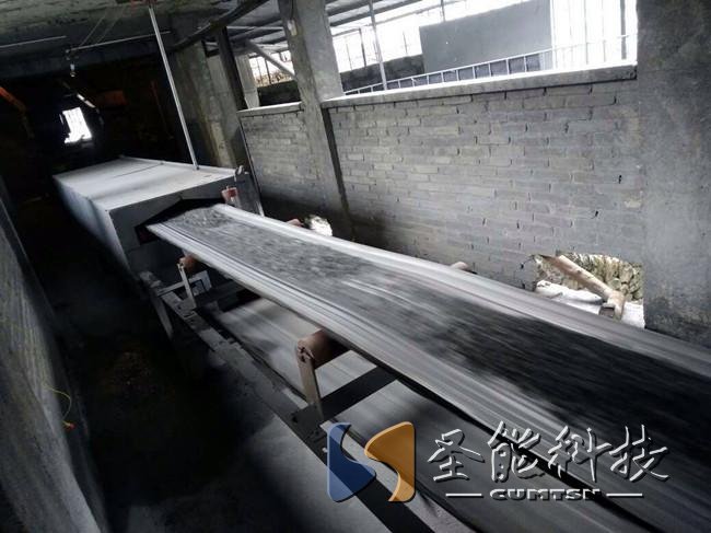 圣能科技<a href='http://m.m1301.cn' target='_blank'><u>電子皮帶秤</u></a>項目