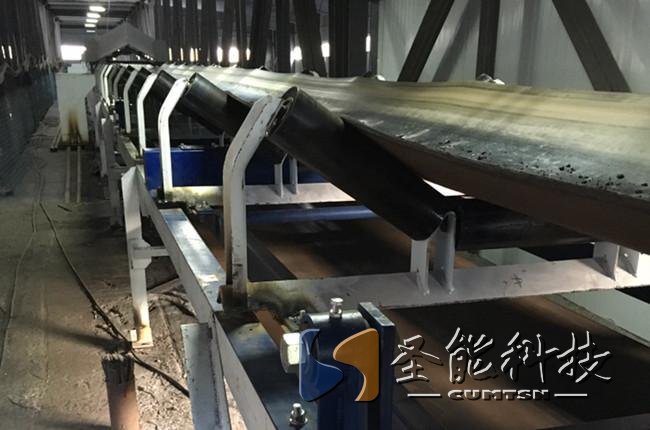 圣能科技<a href='http://m.m1301.cn/' target='_blank'><u>皮帶秤</u></a>案例