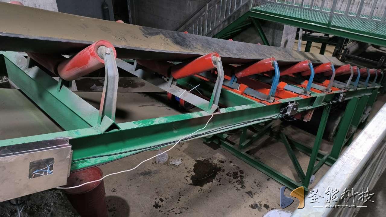 圣能科技防爆<a href='http://m.m1301.cn' target='_blank'><u>電子皮帶秤</u></a>