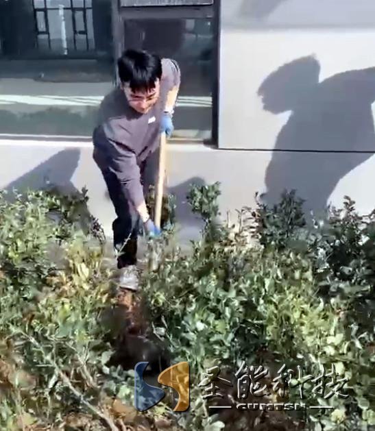 “植”此青綠，添彩圣能靜待花開(kāi)